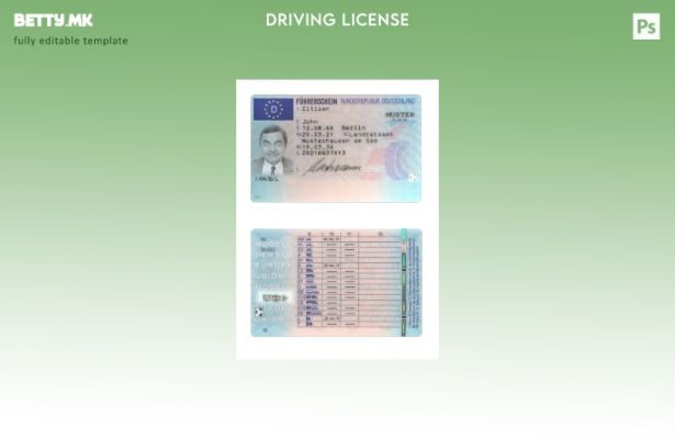 Модерен стил Германска возачка дозвола присутен шаблон